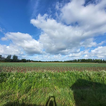 Huisje Mina Vrouwenpolder Ngoại thất bức ảnh